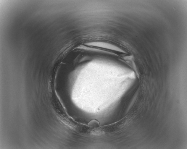 X0000064750258200602241847