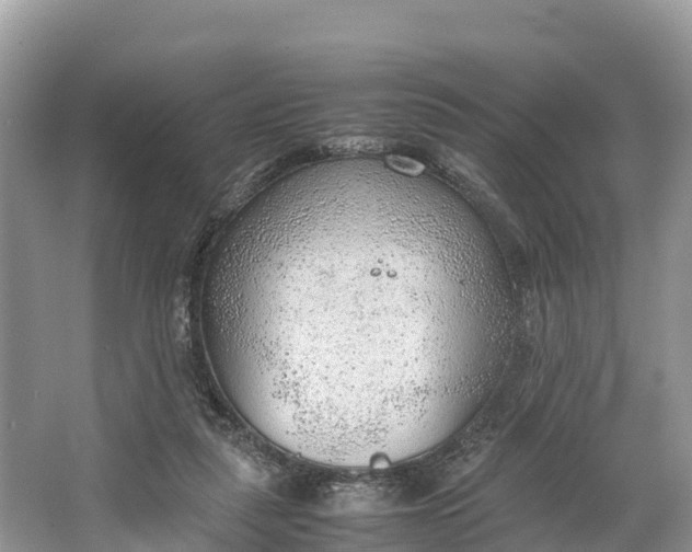 X0000064750259200602241847