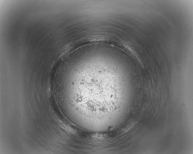 X0000064750261200602241847