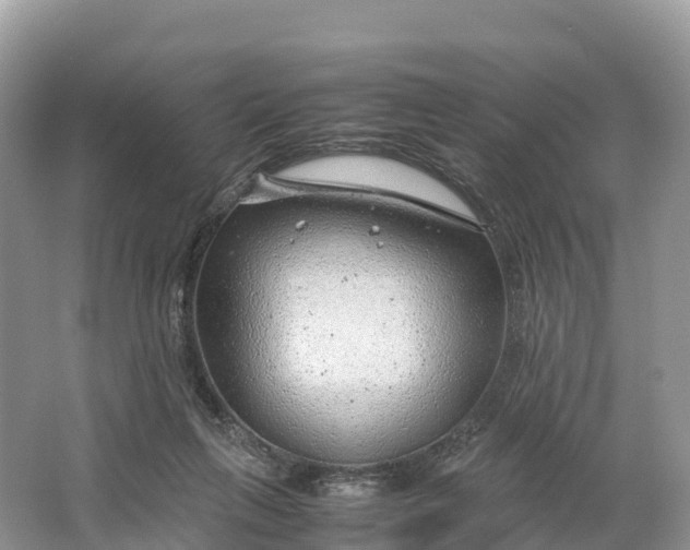 X0000064750263200602241847