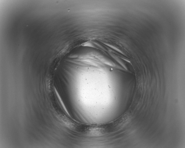 X0000064750268200602241847