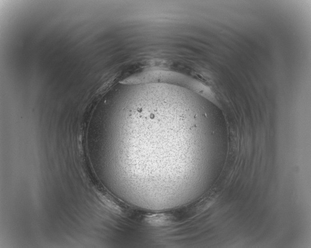 X0000064750269200602241847