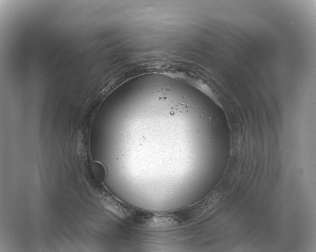 X0000064750270200602241847