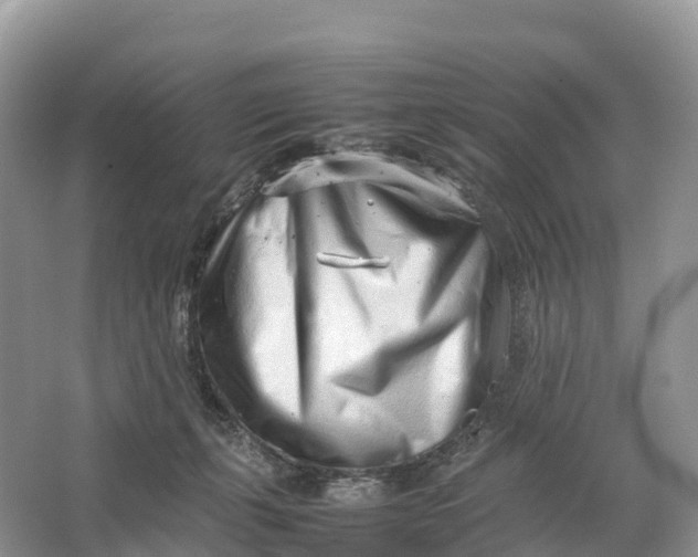 X0000064750271200602241847