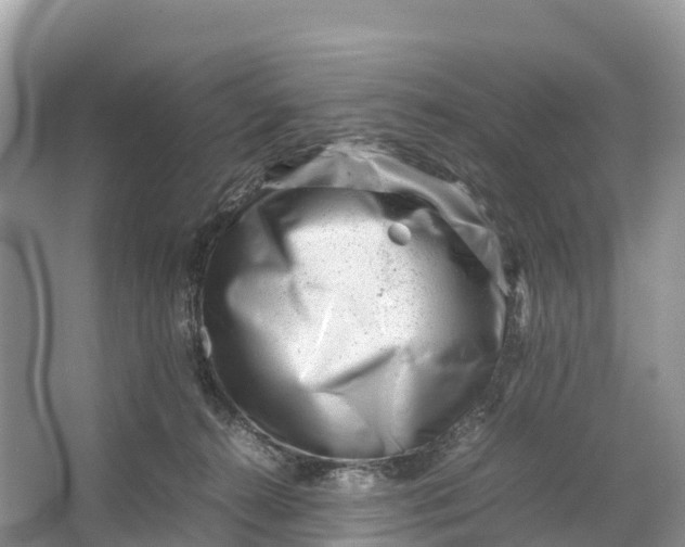 X0000064750272200602241847