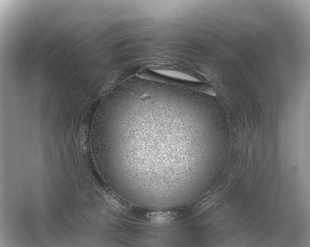 X0000064750273200602241847