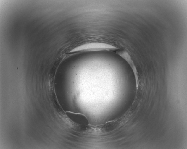 X0000064750276200602241848