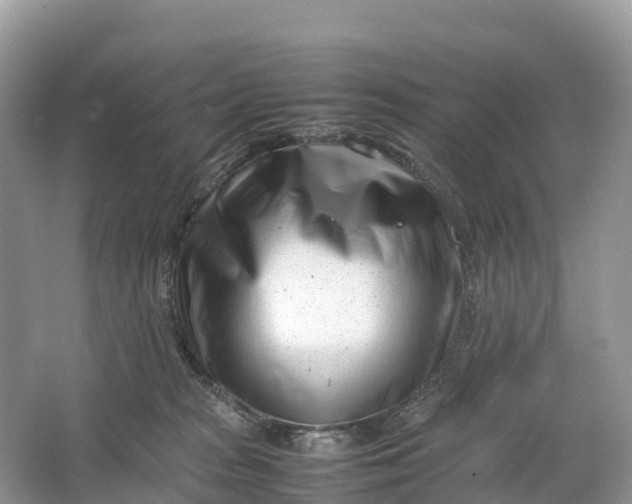 X0000064750277200602241848