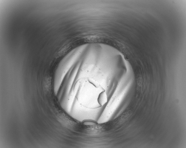 X0000064750278200602241848