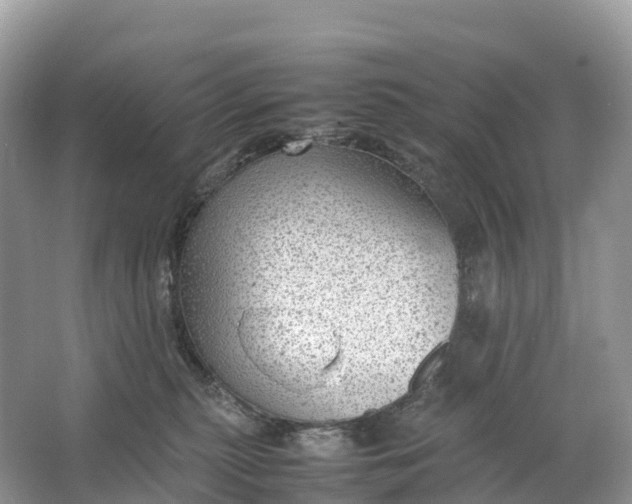 X0000064750279200602241848