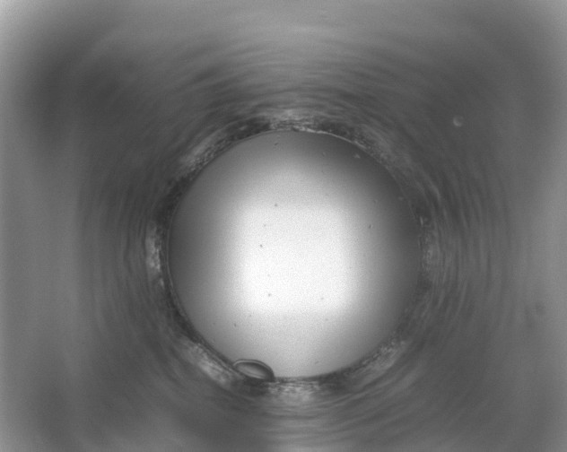 X0000064750282200602241848