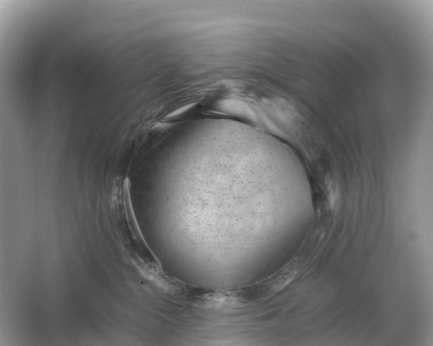 X0000064750284200602241848