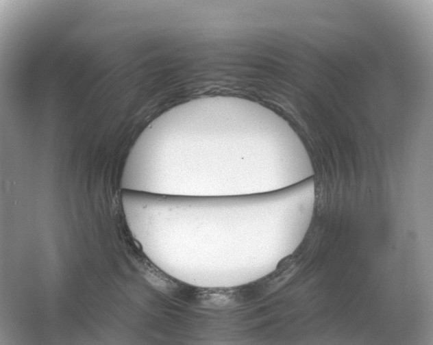 X0000064750285200602241848