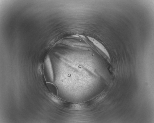 X0000064750286200602241848