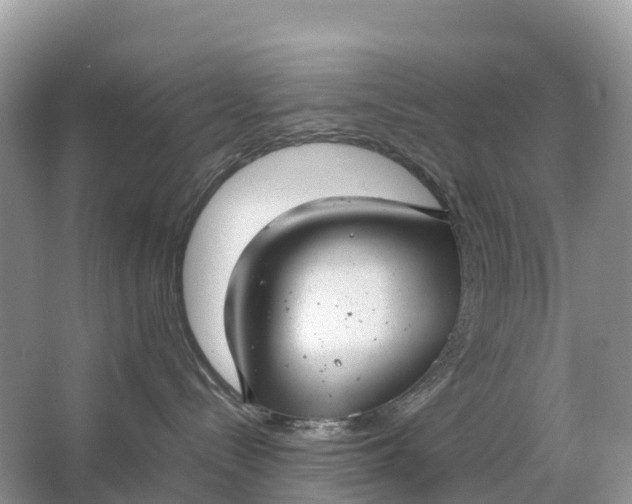 X0000064750288200602241848