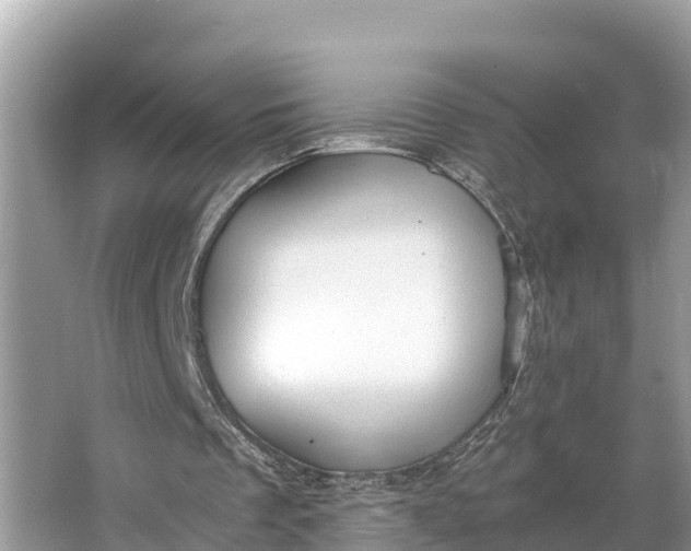 X0000064750289200602241847