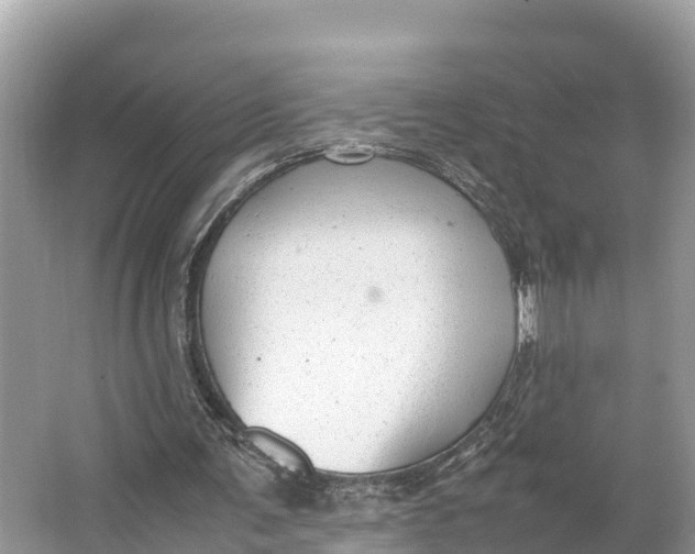 X0000064750291200602241847