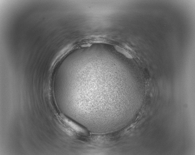 X0000064750293200602241847