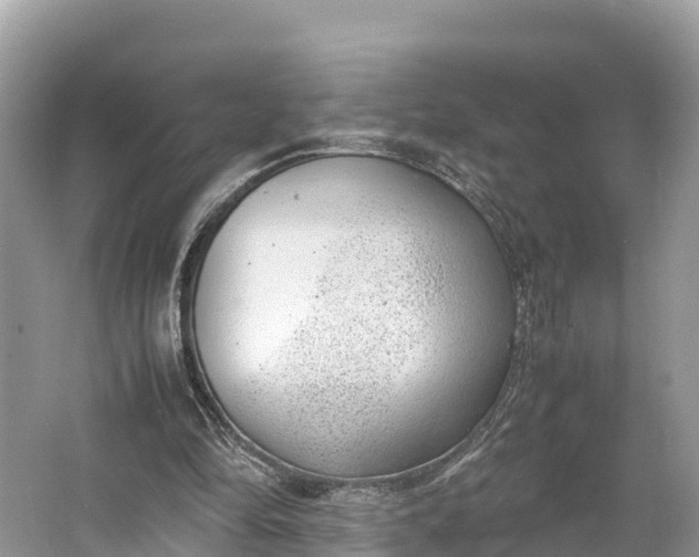 X0000064750294200602241847