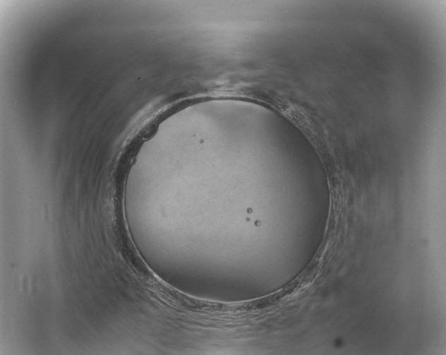 X0000064750295200602241847