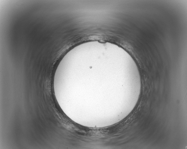 X0000064750297200602241846