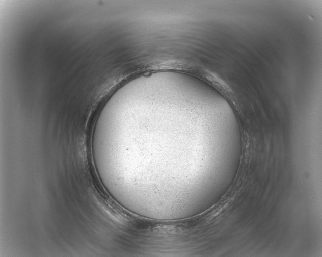 X0000064750298200602241846