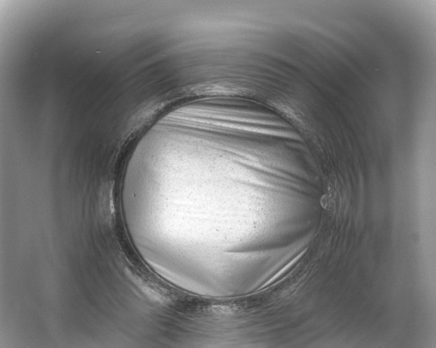 X0000064750302200602241846