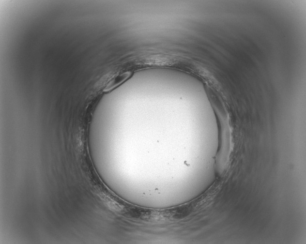 X0000064750305200602241846