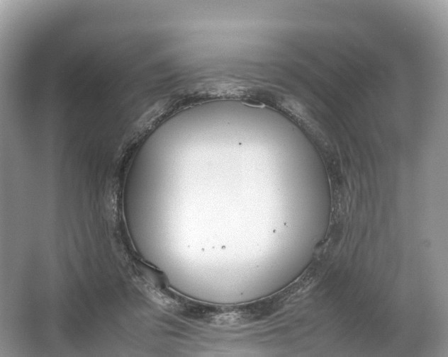 X0000064750309200602241846