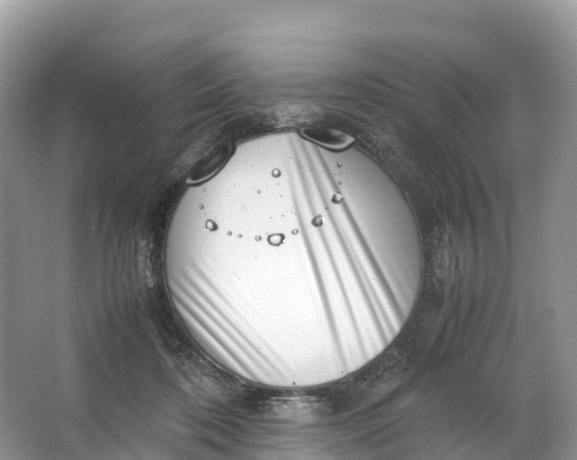 X0000064750316200602241846