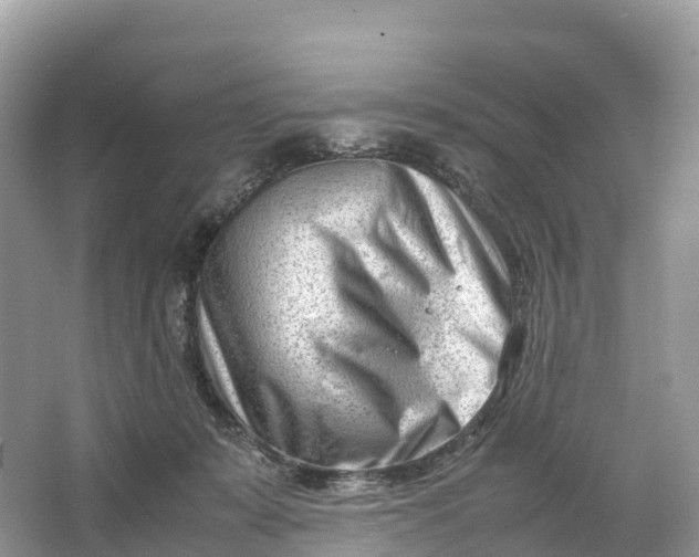 X0000064750319200602241846