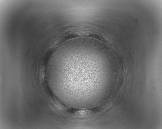 X0000064750323200602241846