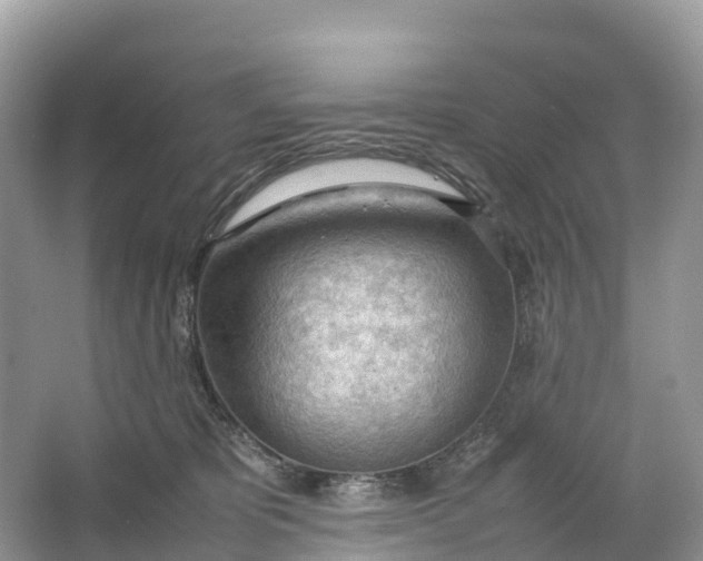 X0000064750325200602241846