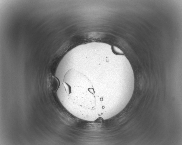 X0000064750328200602241846