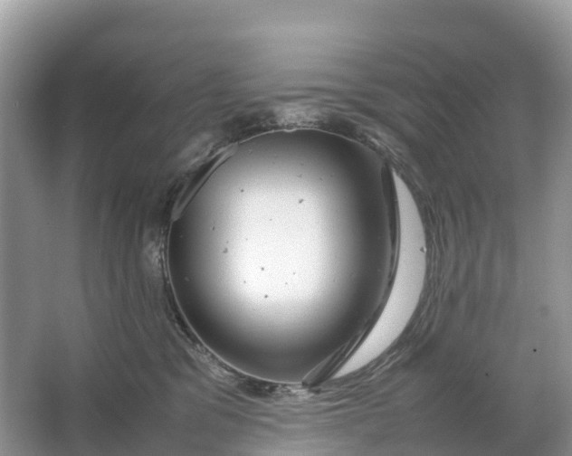 X0000064750329200602241846