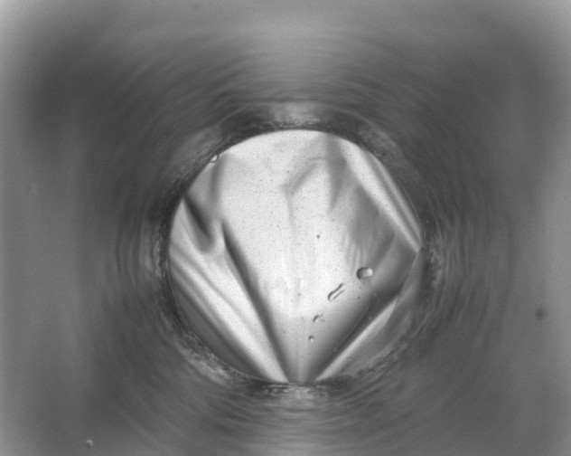 X0000064750330200602241846