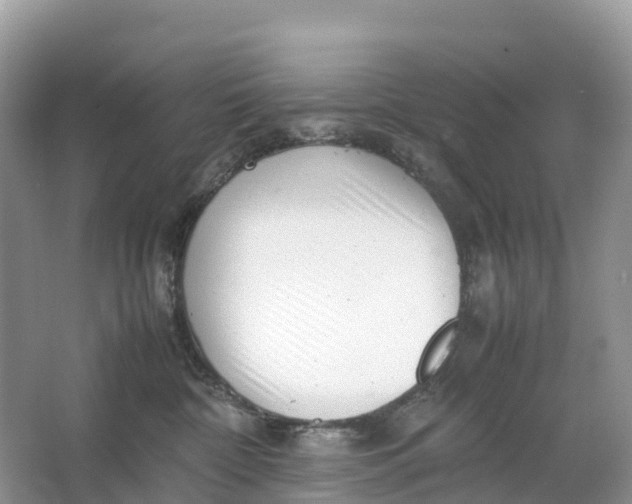 X0000064750332200602241846