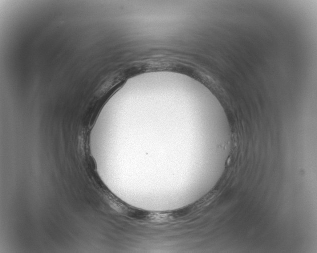 X0000064750333200602241846