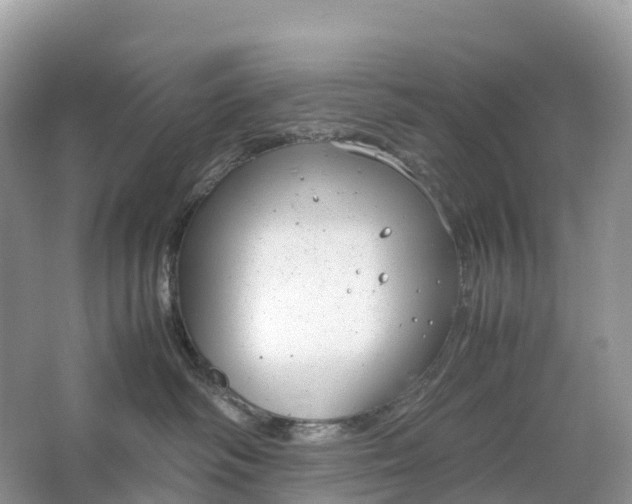 X0000064750334200602241846