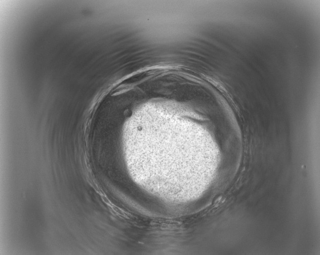 X0000064750337200602241844