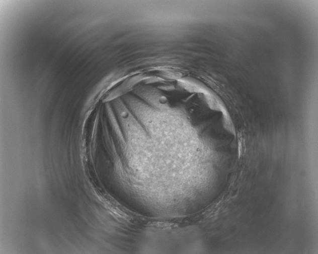 X0000064750339200602241844