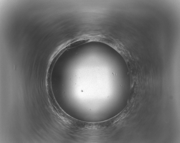 X0000064750340200602241844