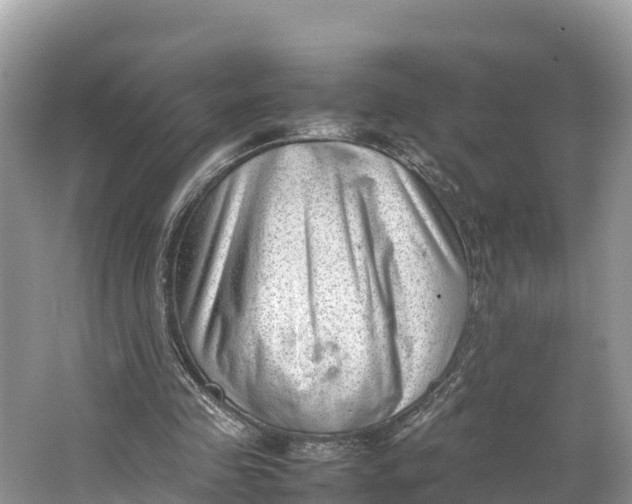 X0000064750341200602241844