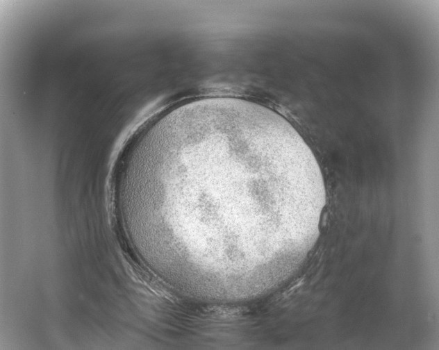 X0000064750343200602241844