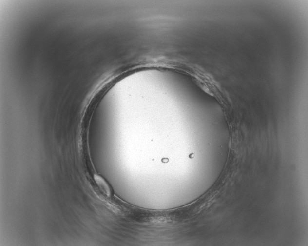 X0000064750344200602241844