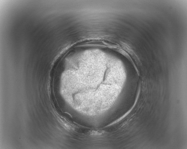 X0000064750346200602241844