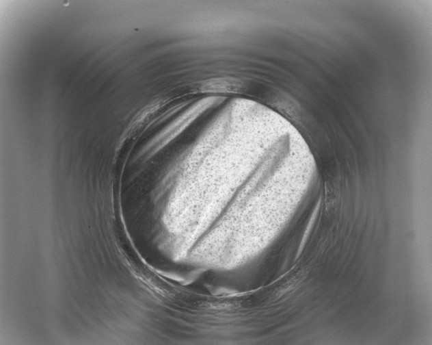 X0000064750349200602241845