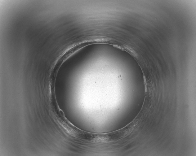 X0000064750350200602241845