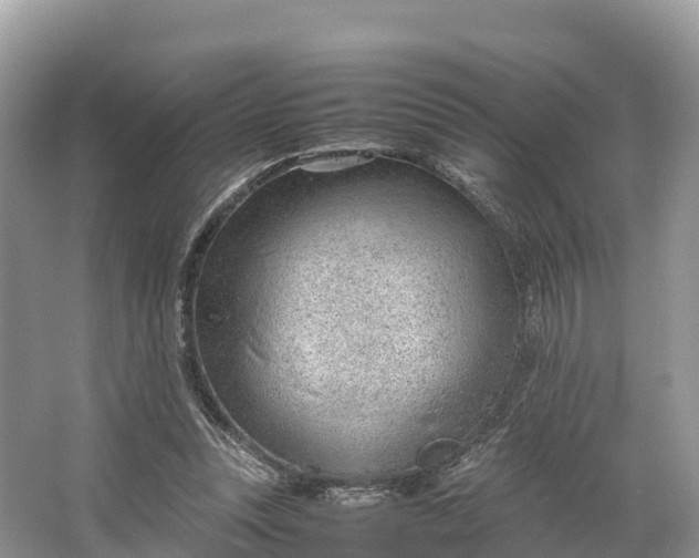 X0000064750351200602241845