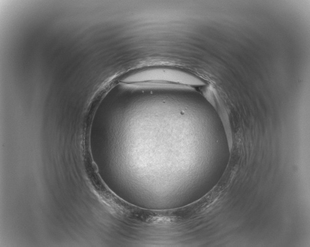 X0000064750352200602241845